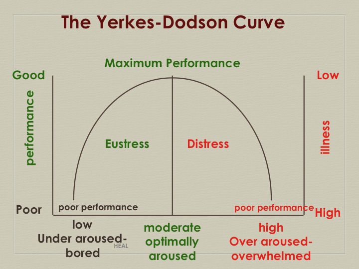 Yerkes Dodson curve