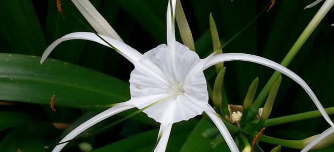 image for blog