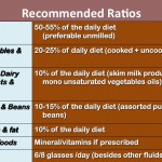 Recommended Daily Diet Ratios 